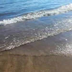 Gold Oasis Ελ Μέντανο