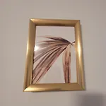 Gold Oasis * Ελ Μέντανο